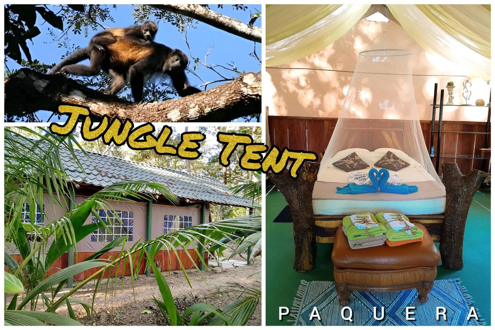 Hotel Fully Furnished Family Jungle Tent, Latino Glamping Paquera Exterior foto